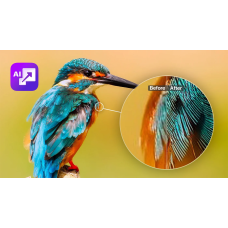 Установка ON1 Resize AI